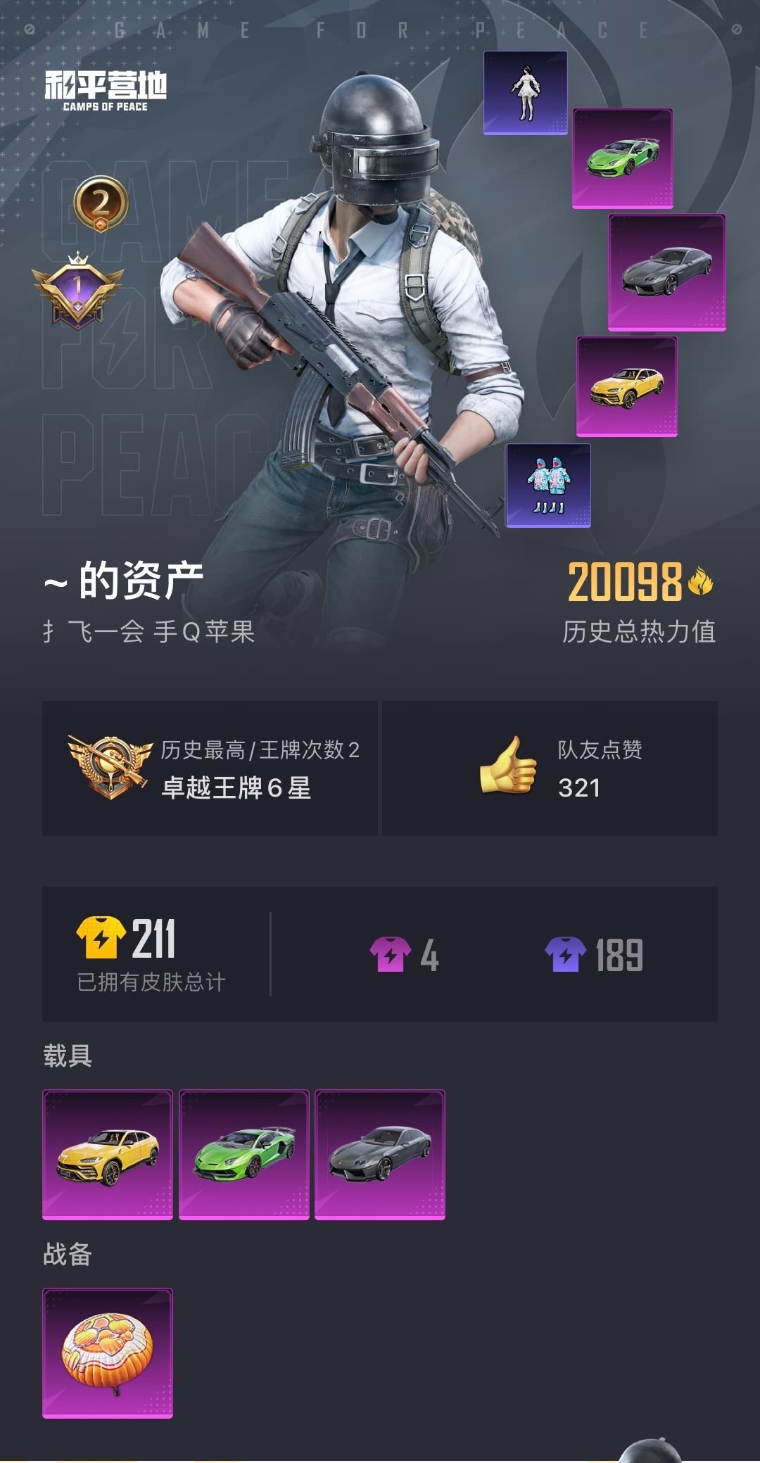HPKG310936和平精英账号详情图5 HPKG310936和平精英账号详情图5
