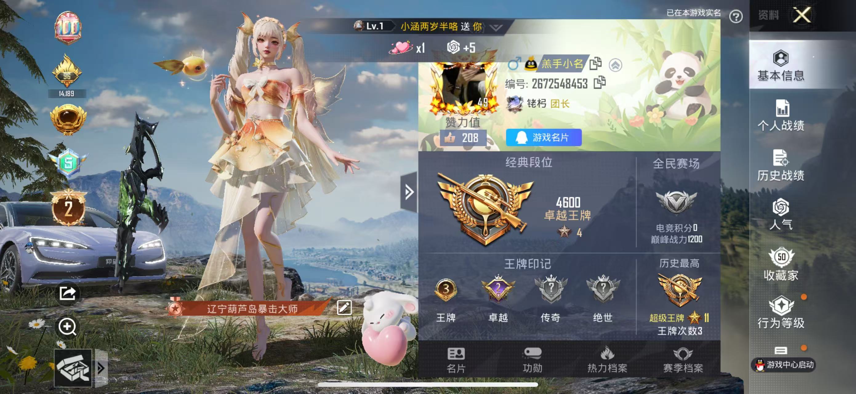 HPKG313084和平精英账号详情图4 HPKG313084和平精英账号详情图4