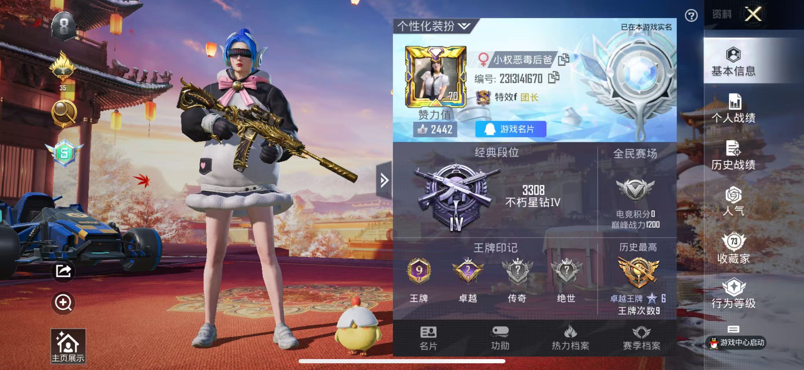 HPKG319839和平精英账号详情图4