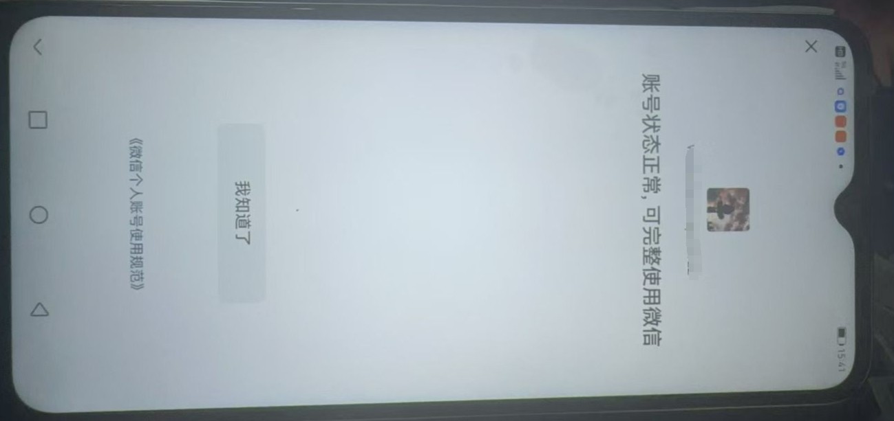 WZKG310631王者荣耀账号详情图10