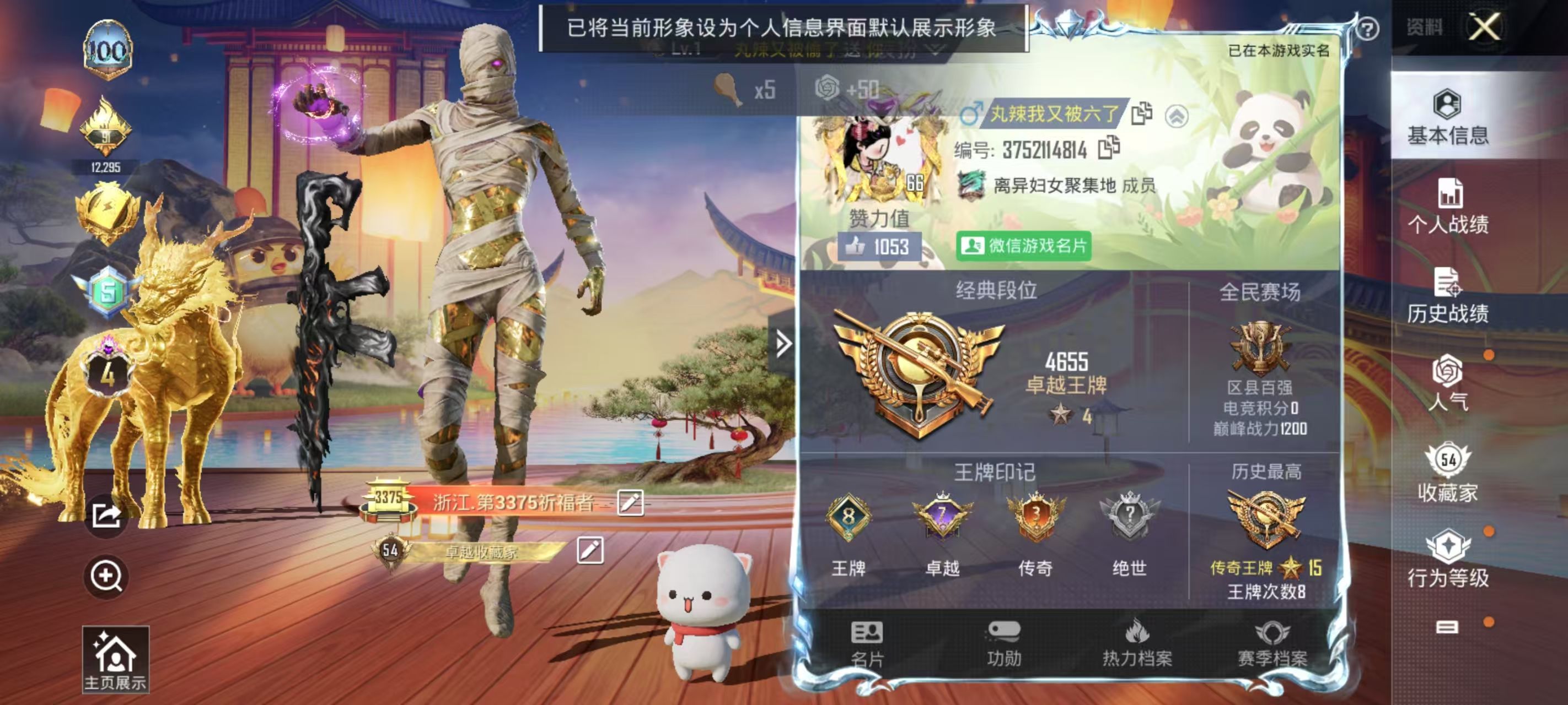 HPKG331373和平精英账号详情图4