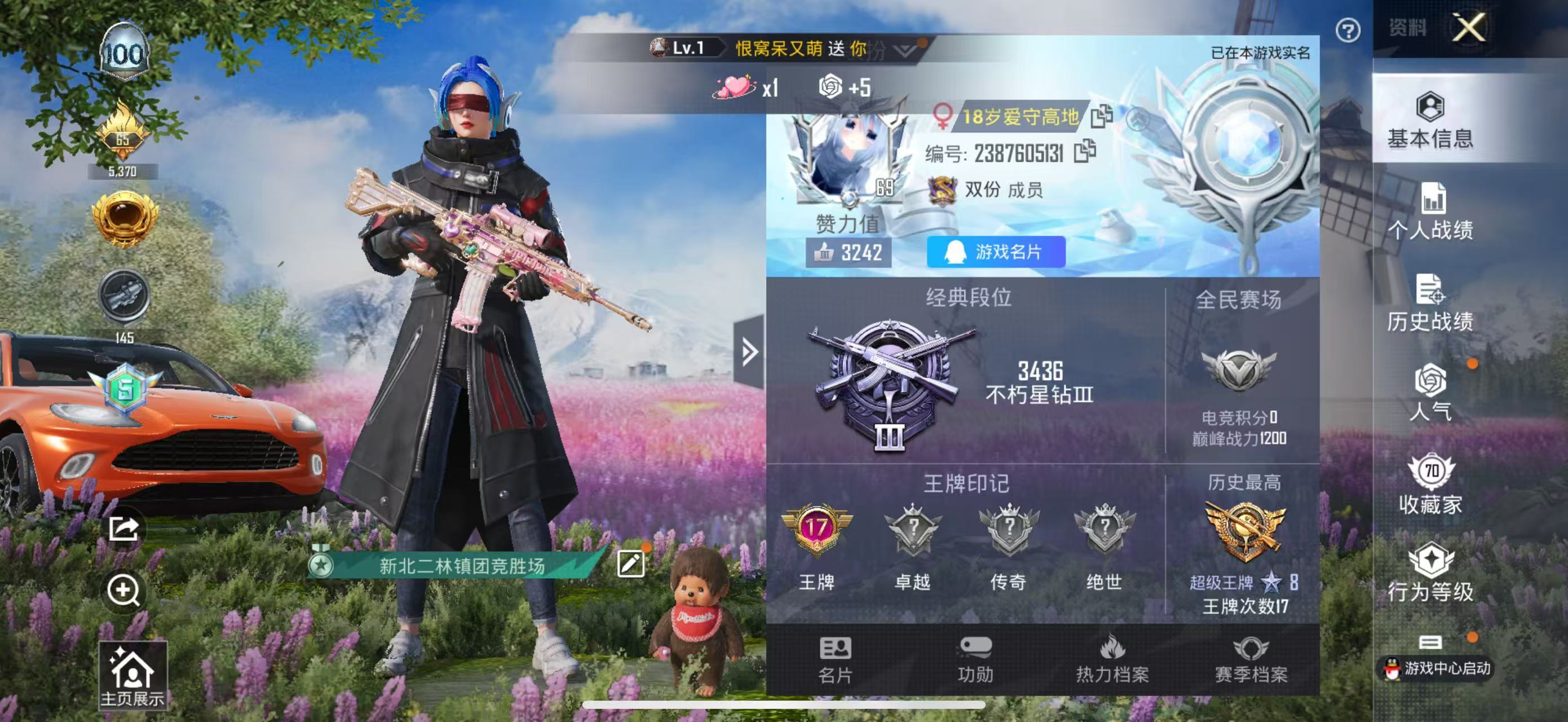 HPKG347949和平精英账号详情图4