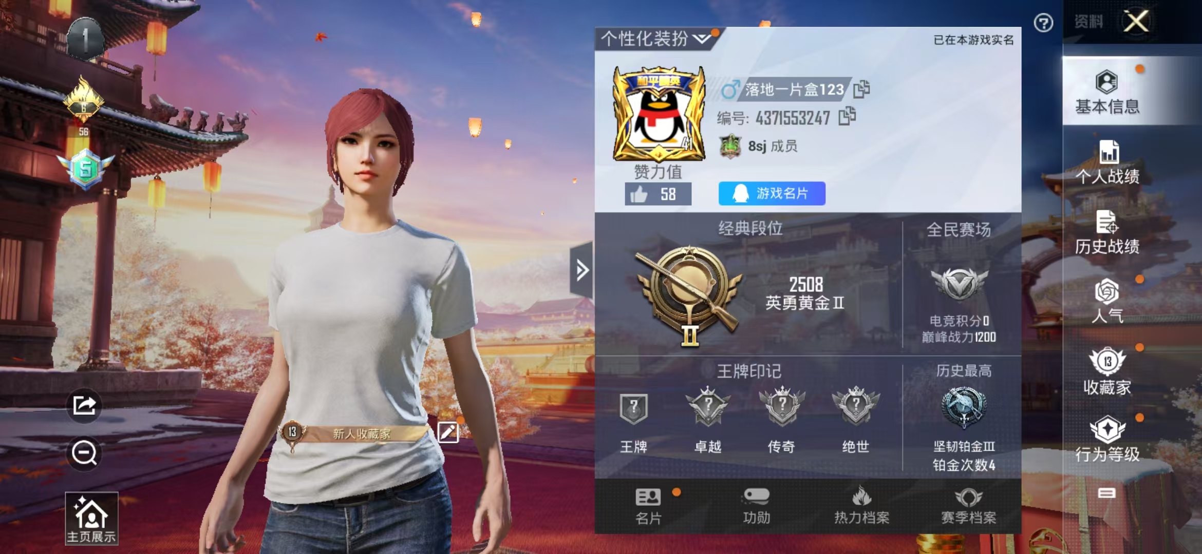 HPQM335558和平精英账号详情图3 HPQM335558和平精英账号详情图3