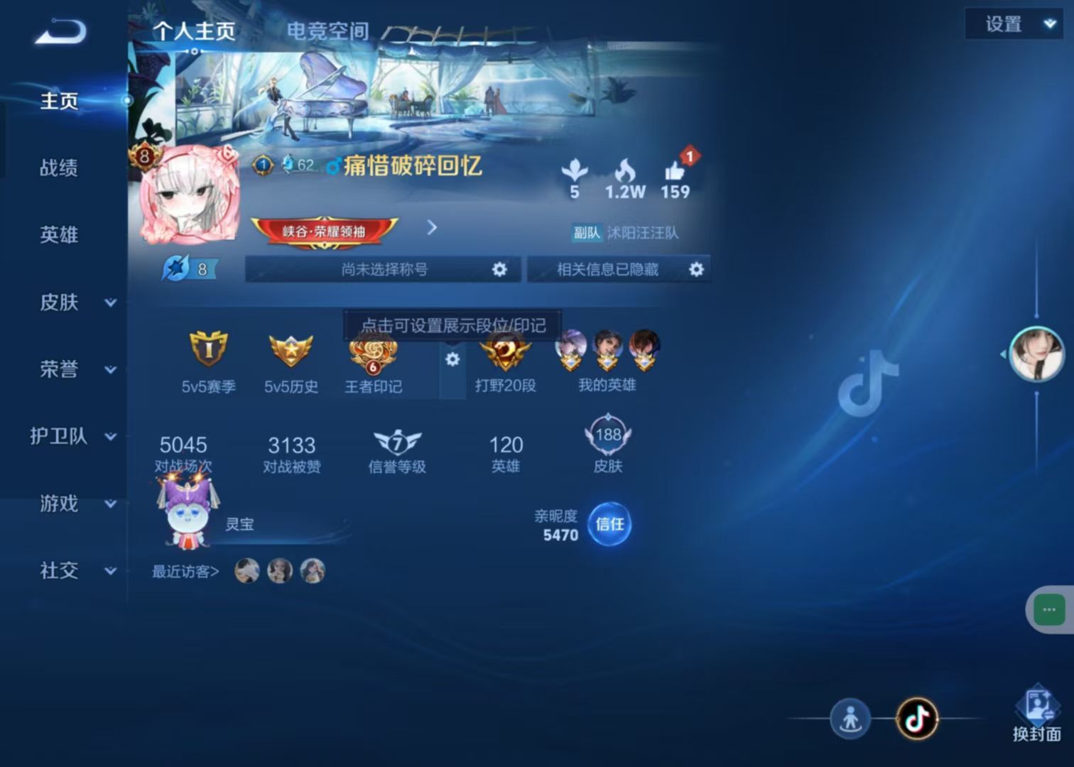 WZKG329064王者荣耀账号详情图7