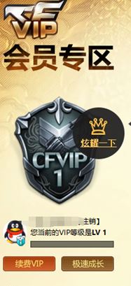 CFQM33247穿越火线账号详情图19