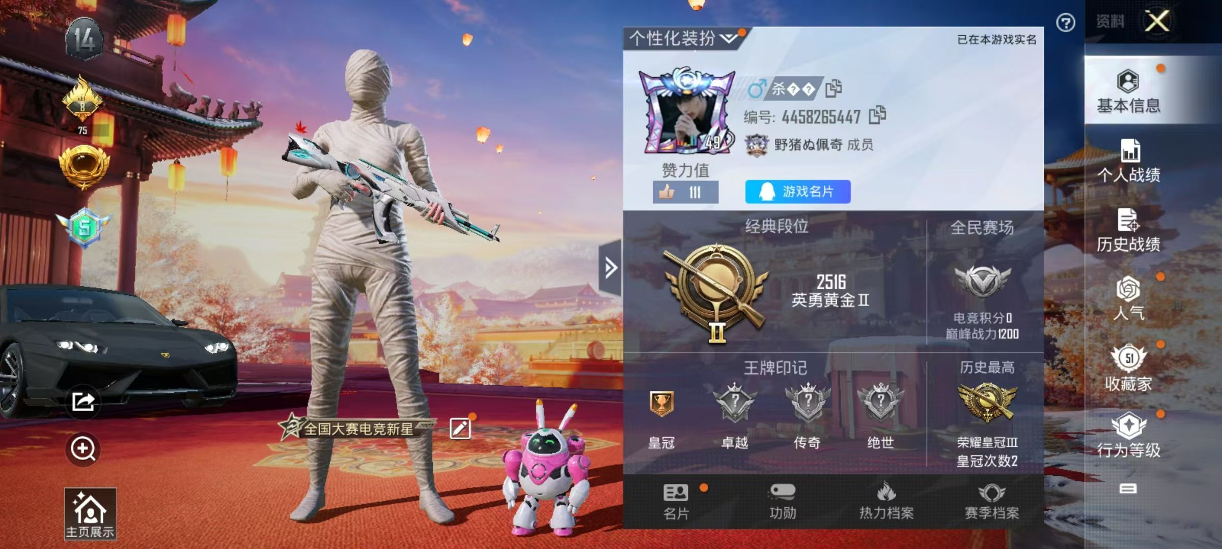 HPKG347403和平精英账号详情图4