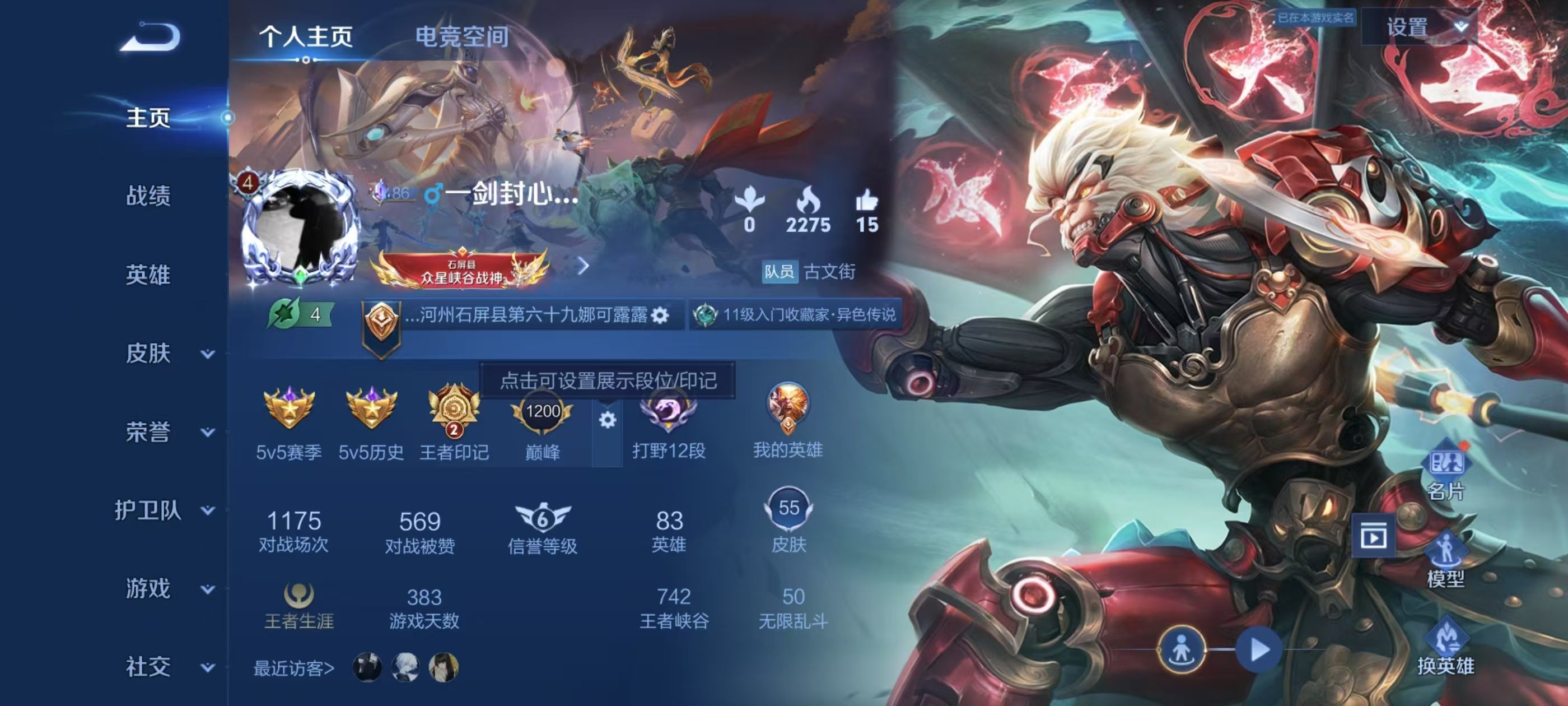 WZKG338425王者荣耀账号详情图9