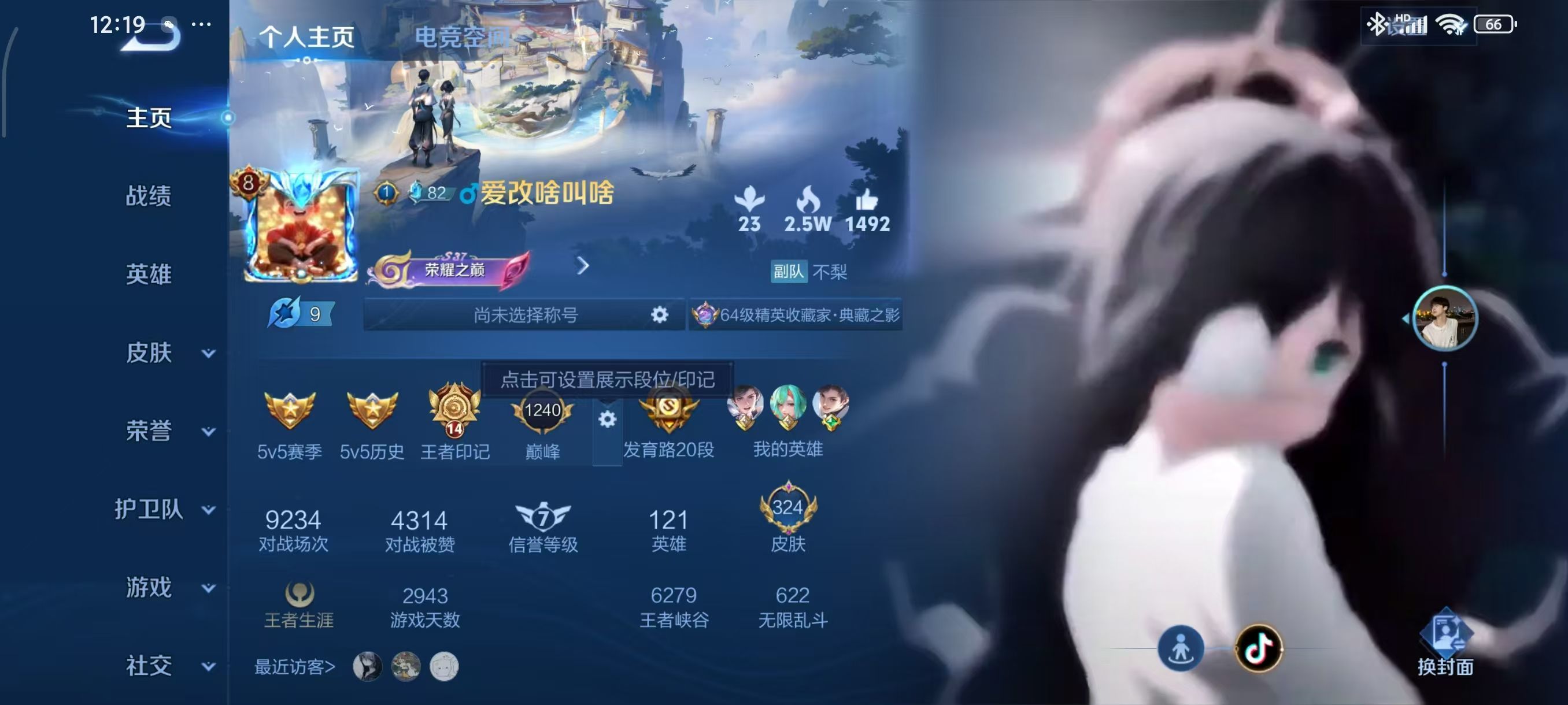 WZKG338778王者荣耀账号详情图3