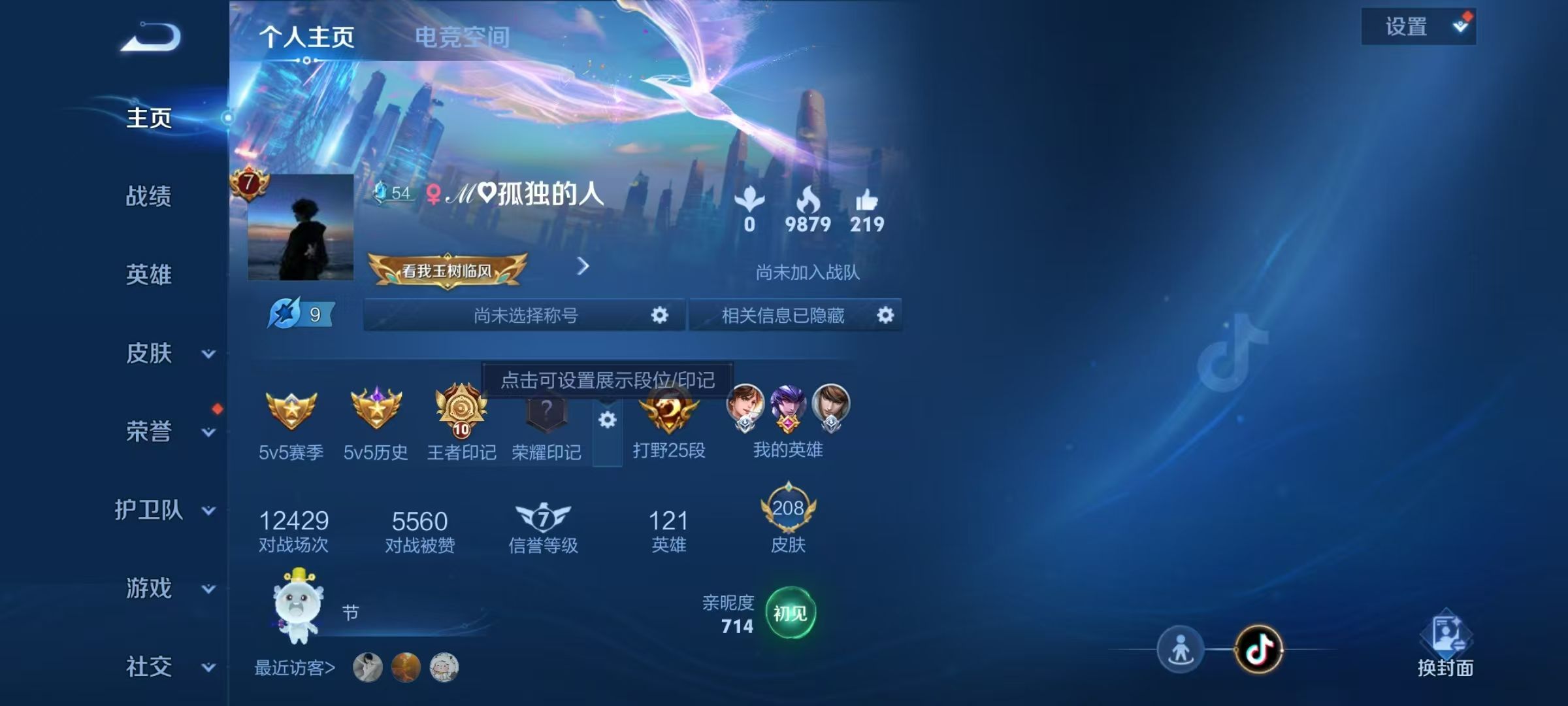 WZKG381608王者荣耀账号详情图3