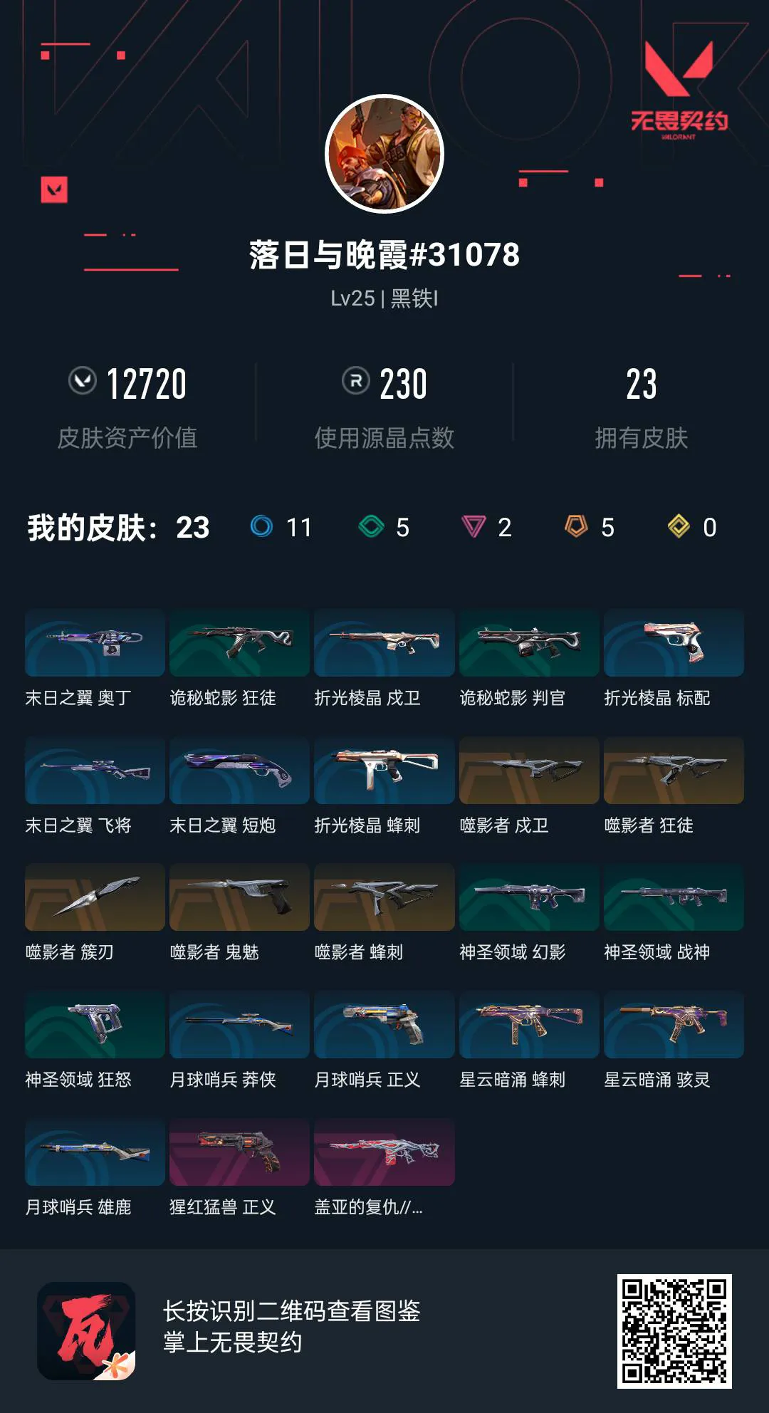 黑铁一  已购买通行证31级 11特攻 2...