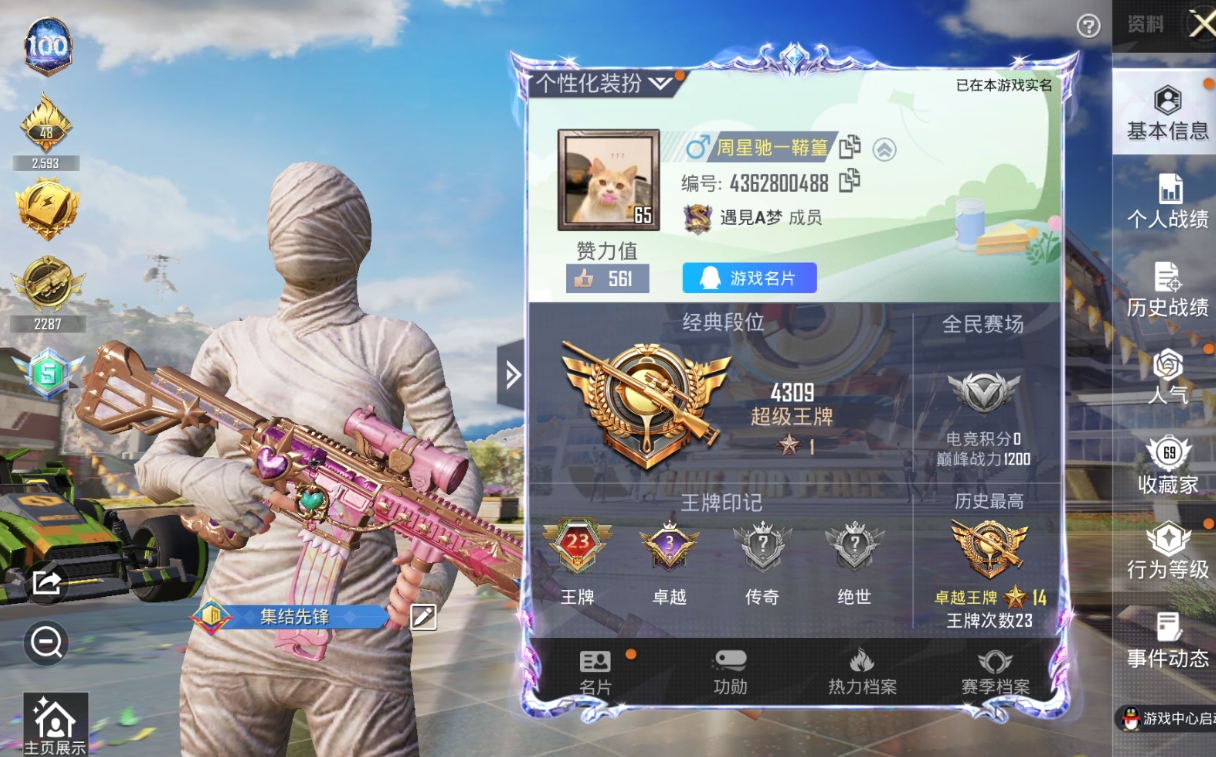 HPQM3109126和平精英账号详情图2