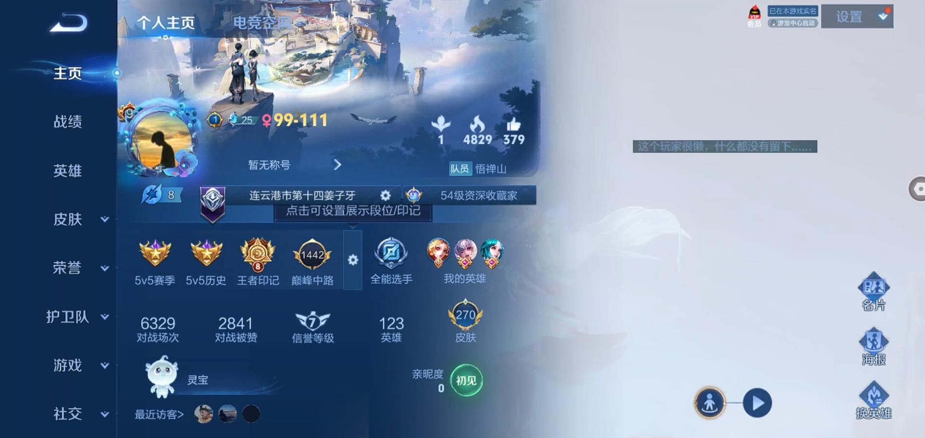 WZQM383250王者荣耀账号详情图2