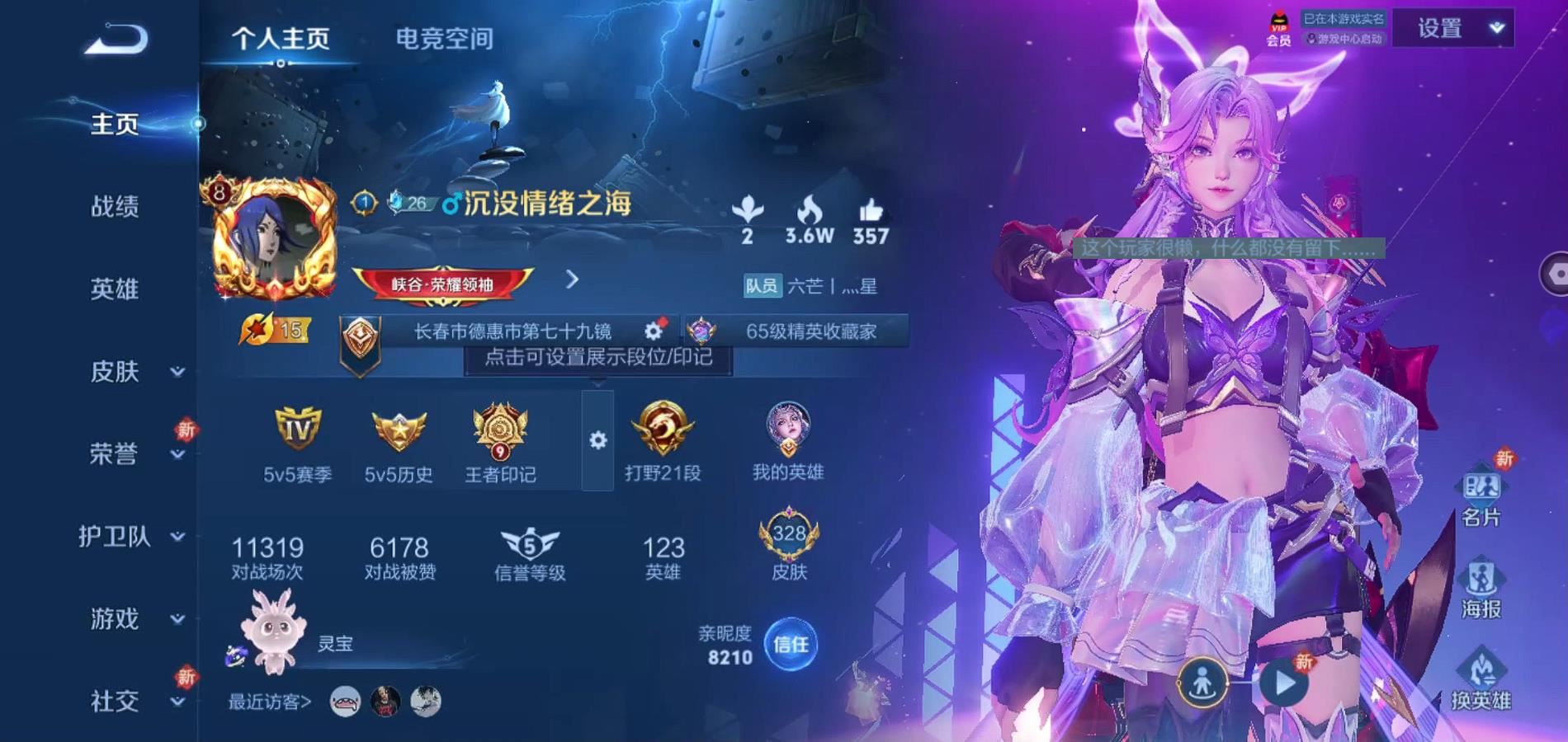 WZQM392637王者荣耀账号详情图5