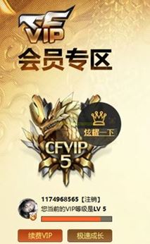 CFQM310529穿越火线账号详情图23