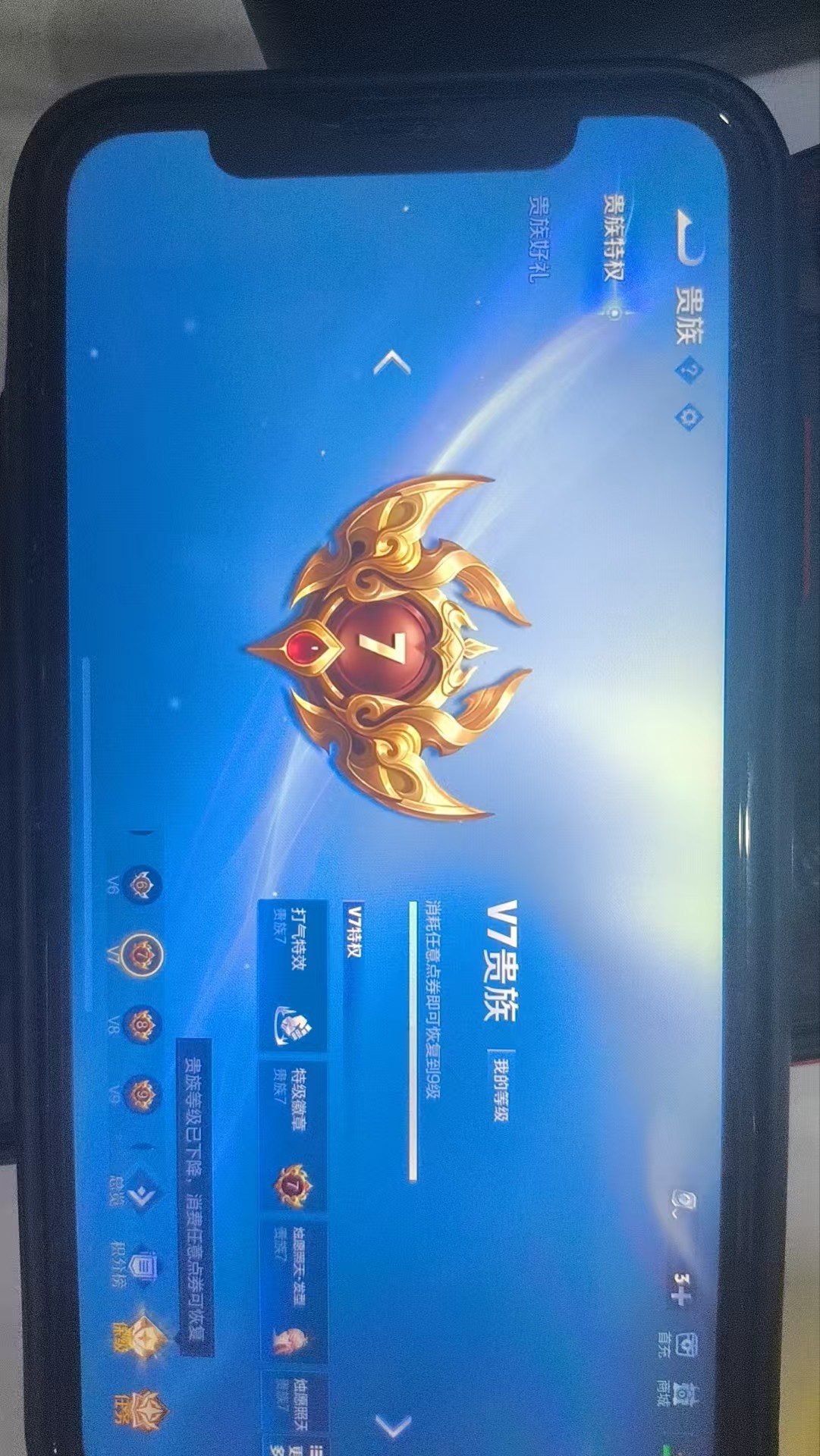 WZKG3101449王者荣耀账号详情图5