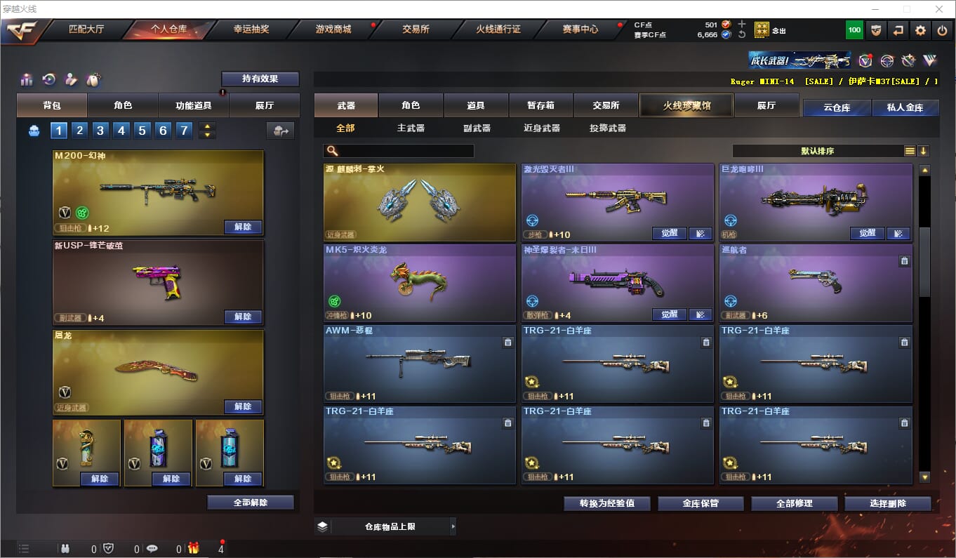 CFQM310608穿越火线账号详情图13