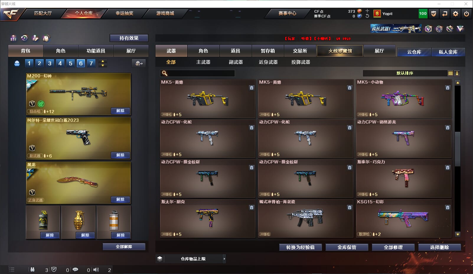 CFQM310642穿越火线账号详情图12