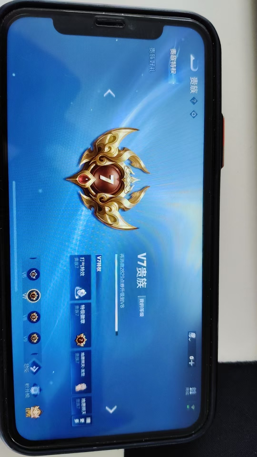 WZKG3103387王者荣耀账号详情图6