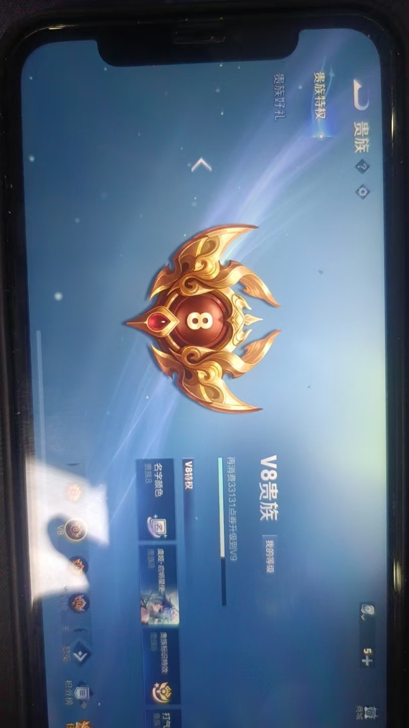 WZKG3103376王者荣耀账号详情图4