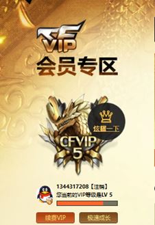 CFQM310655穿越火线账号详情图32