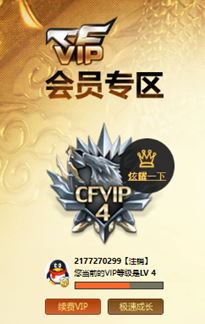 CFQM310657穿越火线账号详情图33
