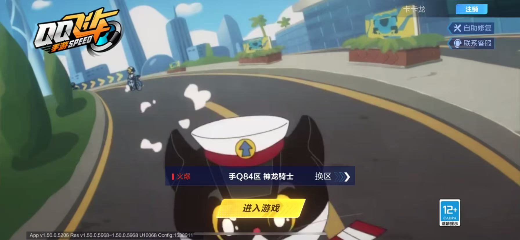 【星煌月影】实名: 可修改 宠物: 小悟空...