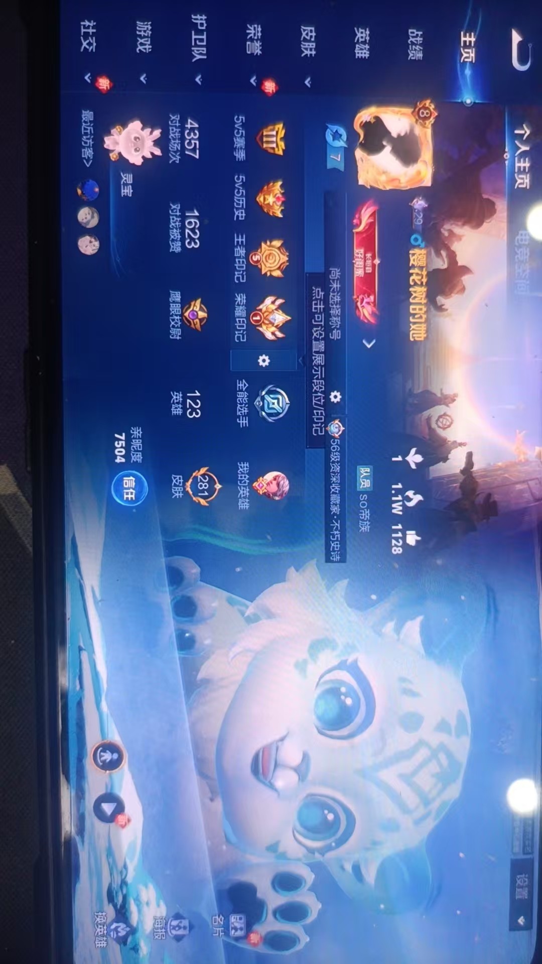 WZKG3103319王者荣耀账号详情图3