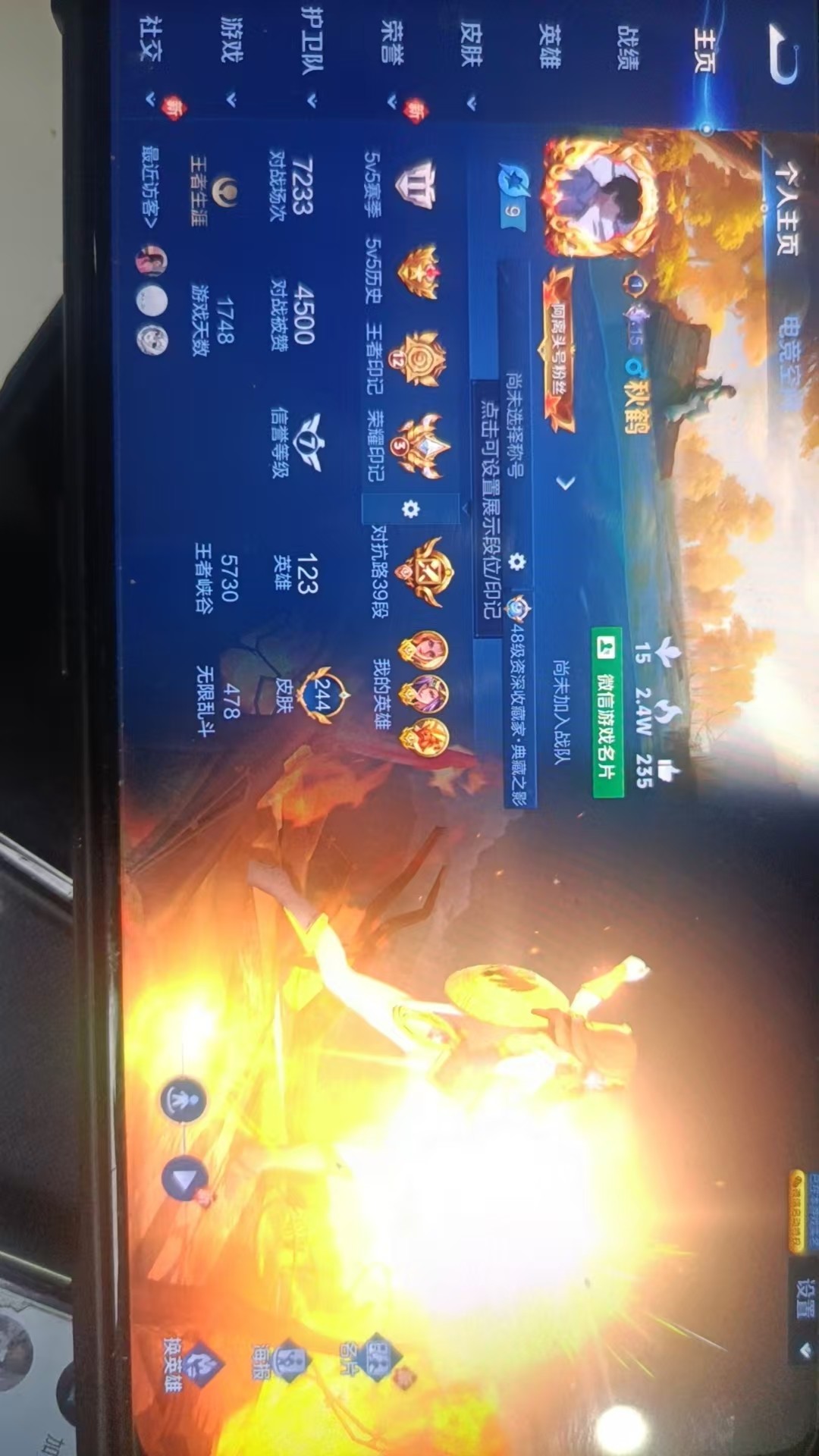 WZKG3103382王者荣耀账号详情图3