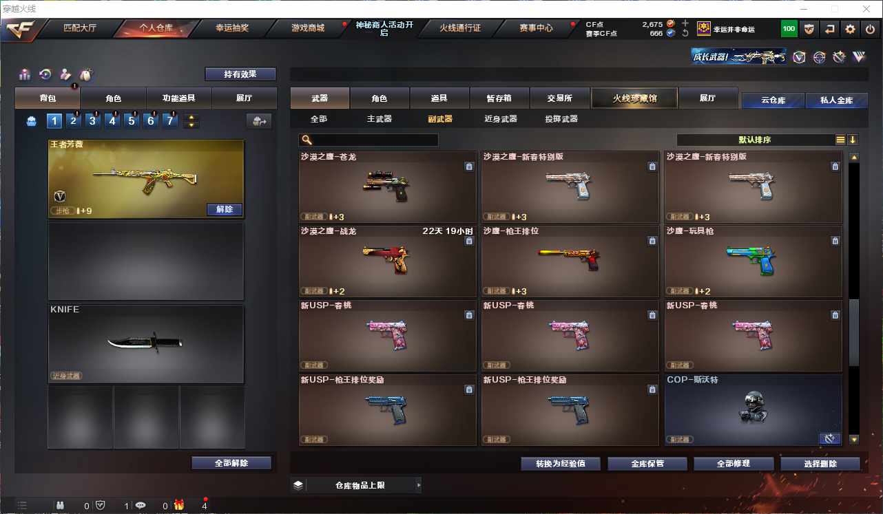 CFQM311061穿越火线账号详情图30