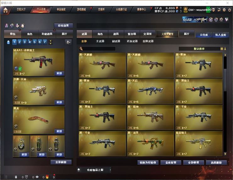 CFQM311070穿越火线账号详情图16
