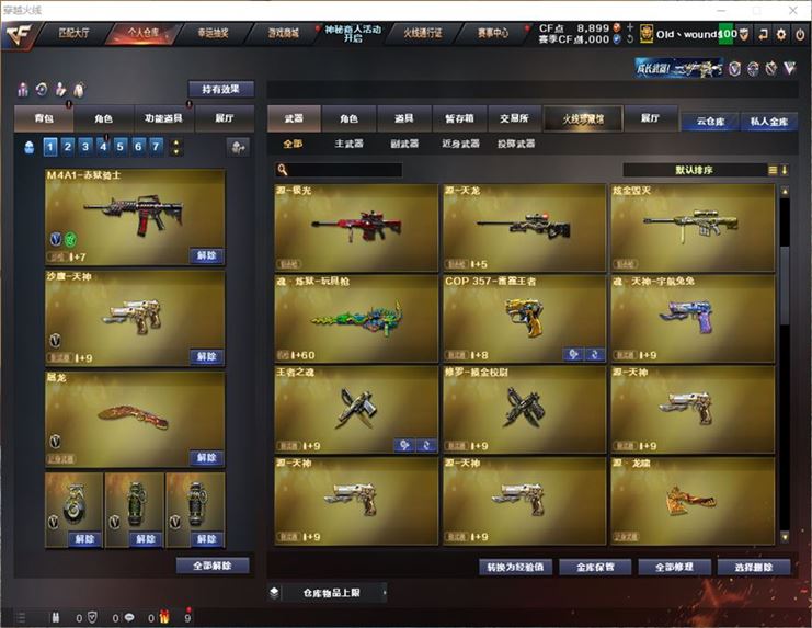 CFQM311070穿越火线账号详情图17