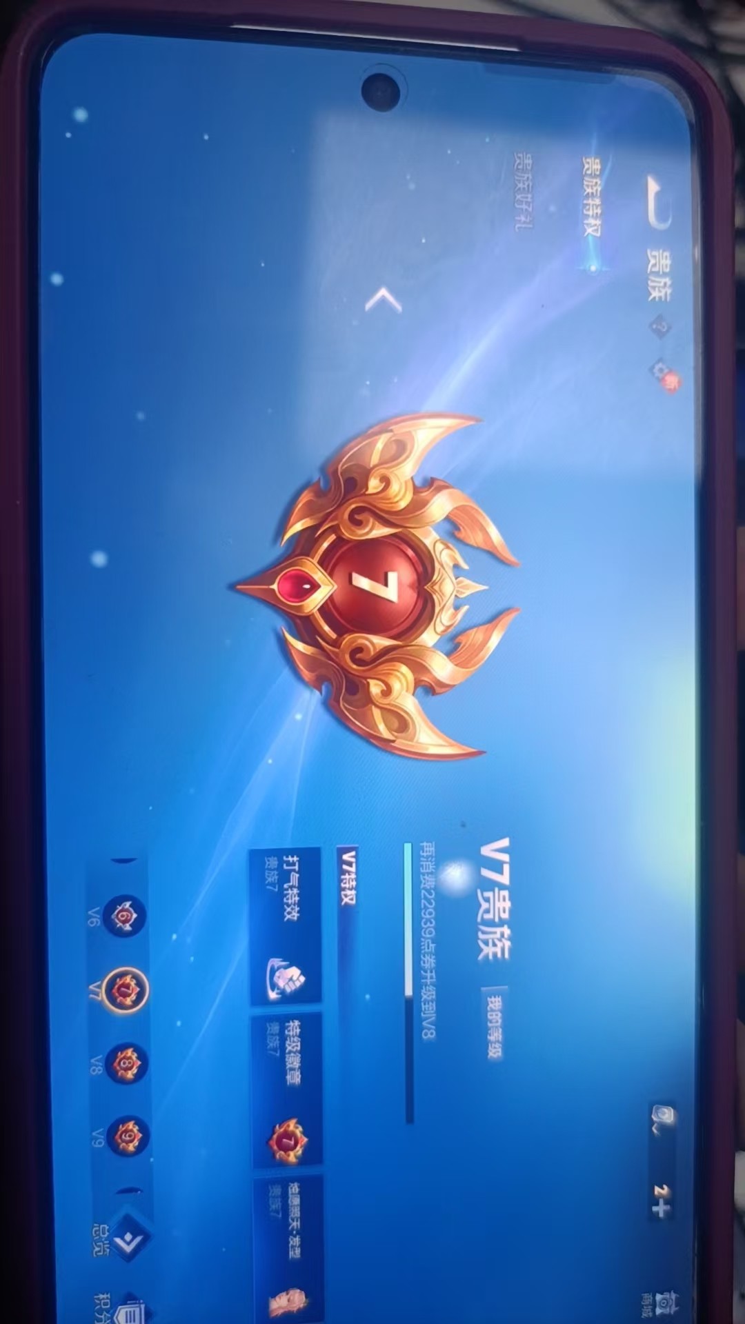 WZKG3101349王者荣耀账号详情图6