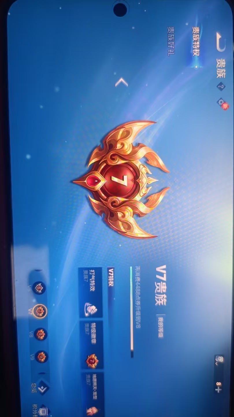 WZKG3103417王者荣耀账号详情图6
