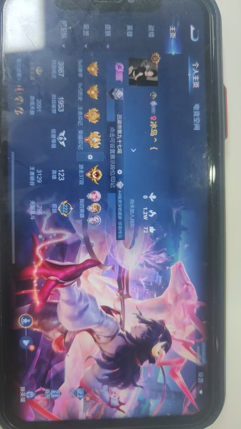 WZKG3109371王者荣耀账号详情图3
