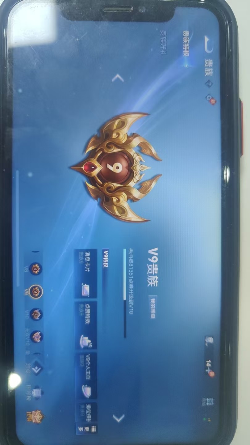 WZKG3109371王者荣耀账号详情图5