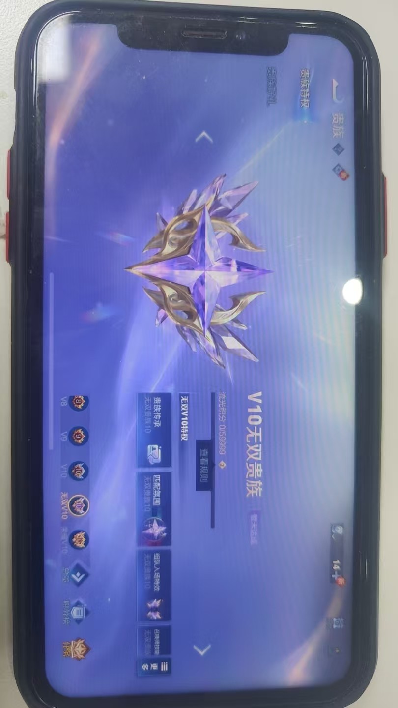 WZKG3109371王者荣耀账号详情图7