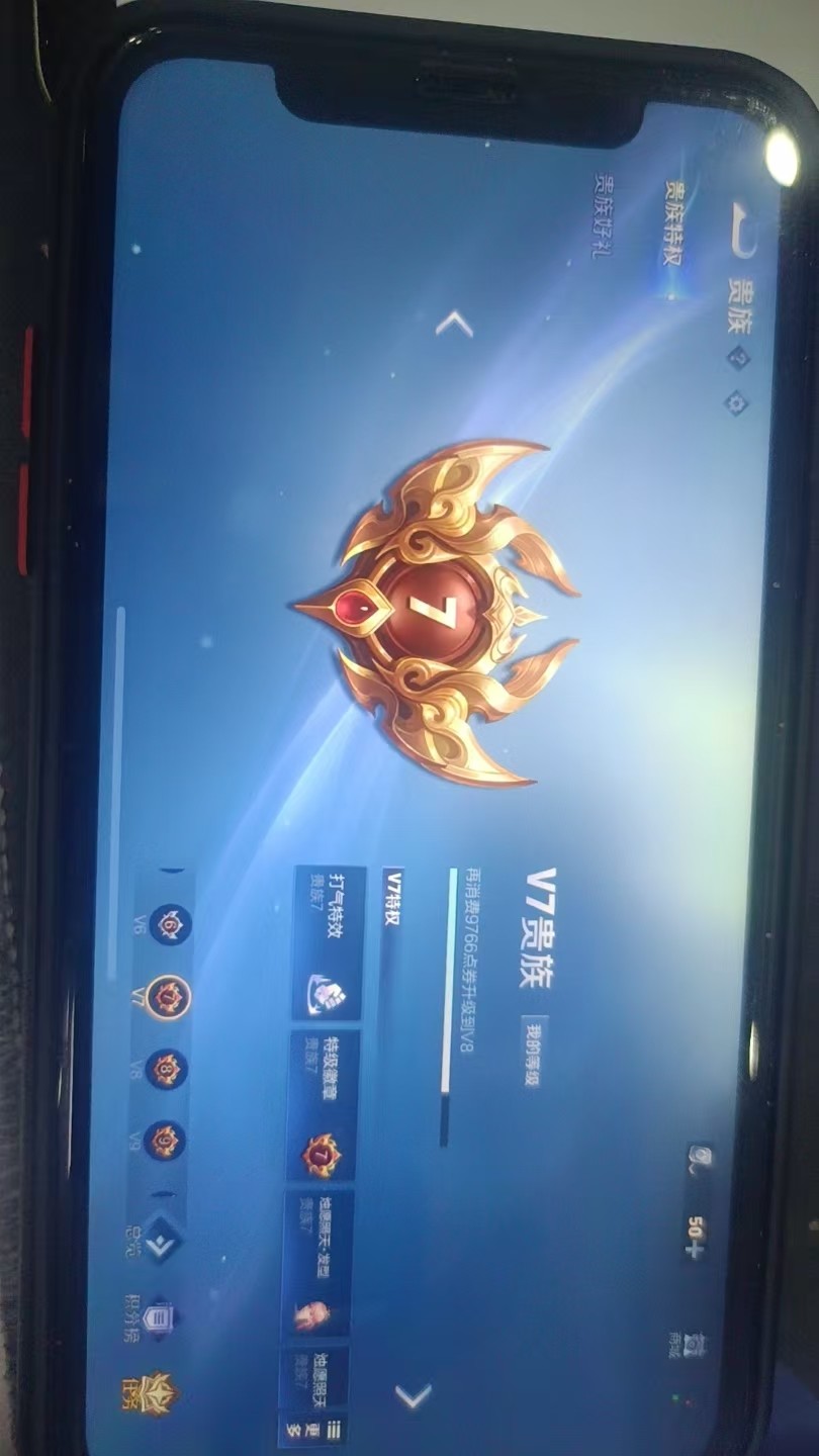 WZKG3103413王者荣耀账号详情图6