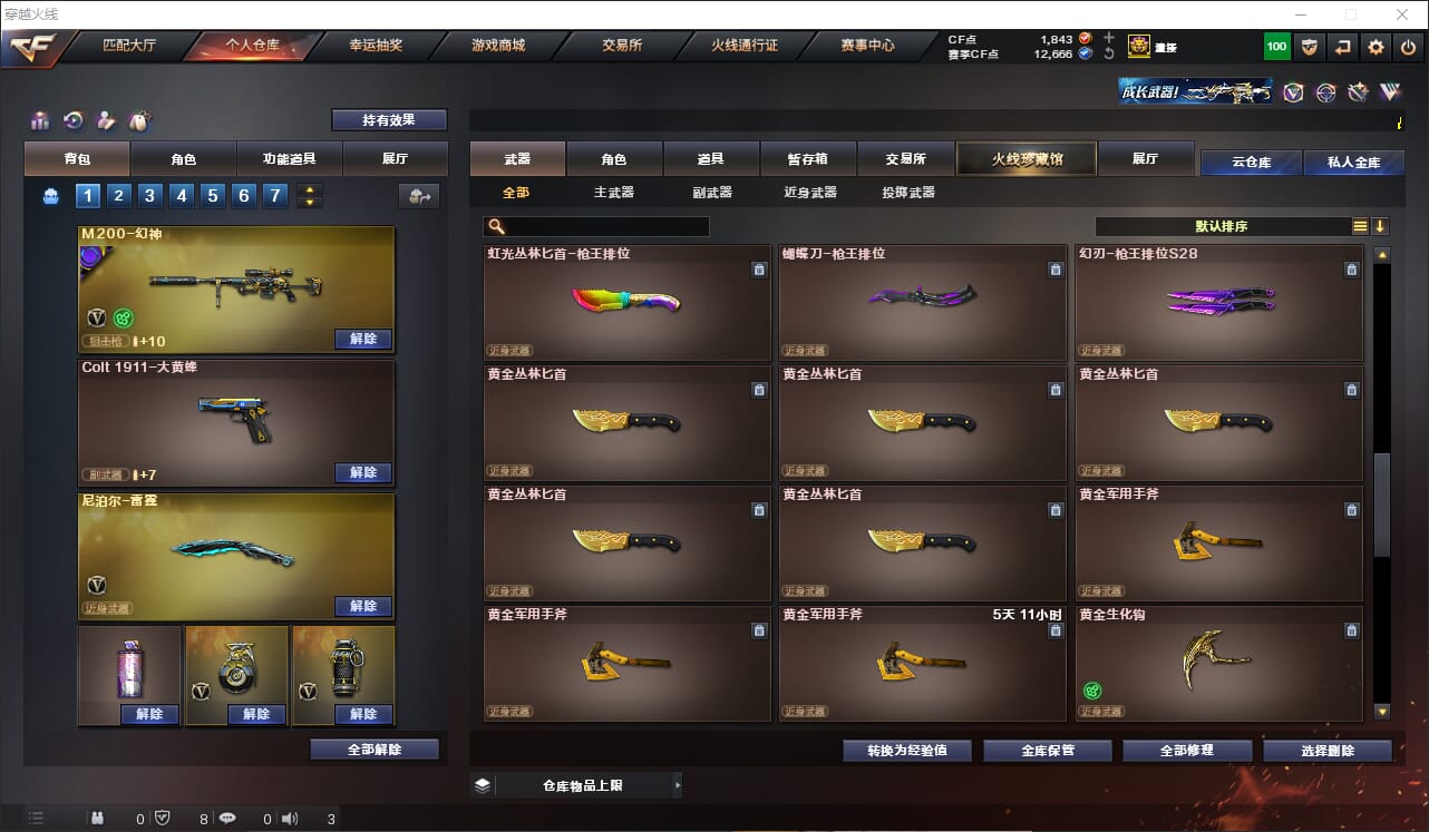 CFQM311275穿越火线账号详情图24