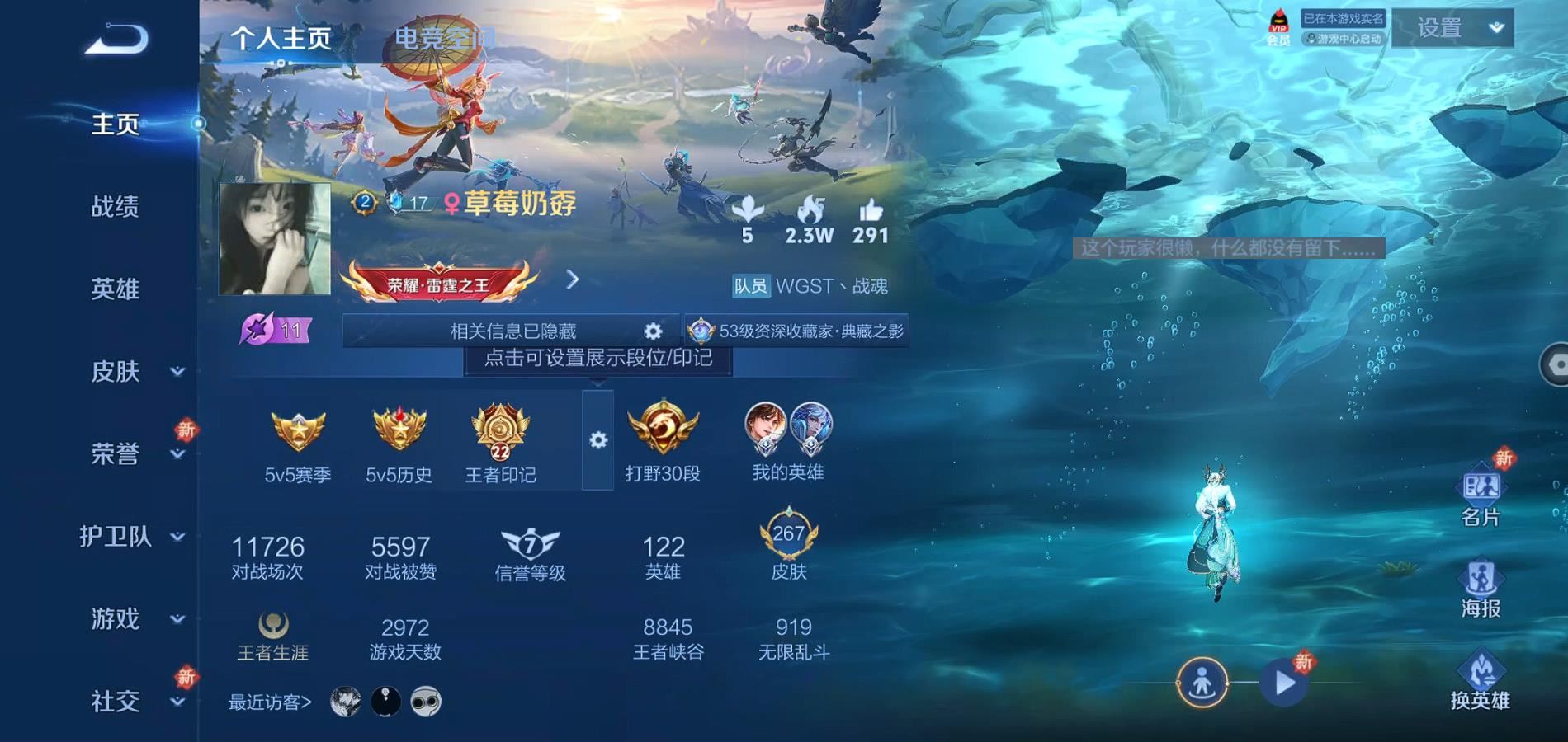 WZQM3101094王者荣耀账号详情图3