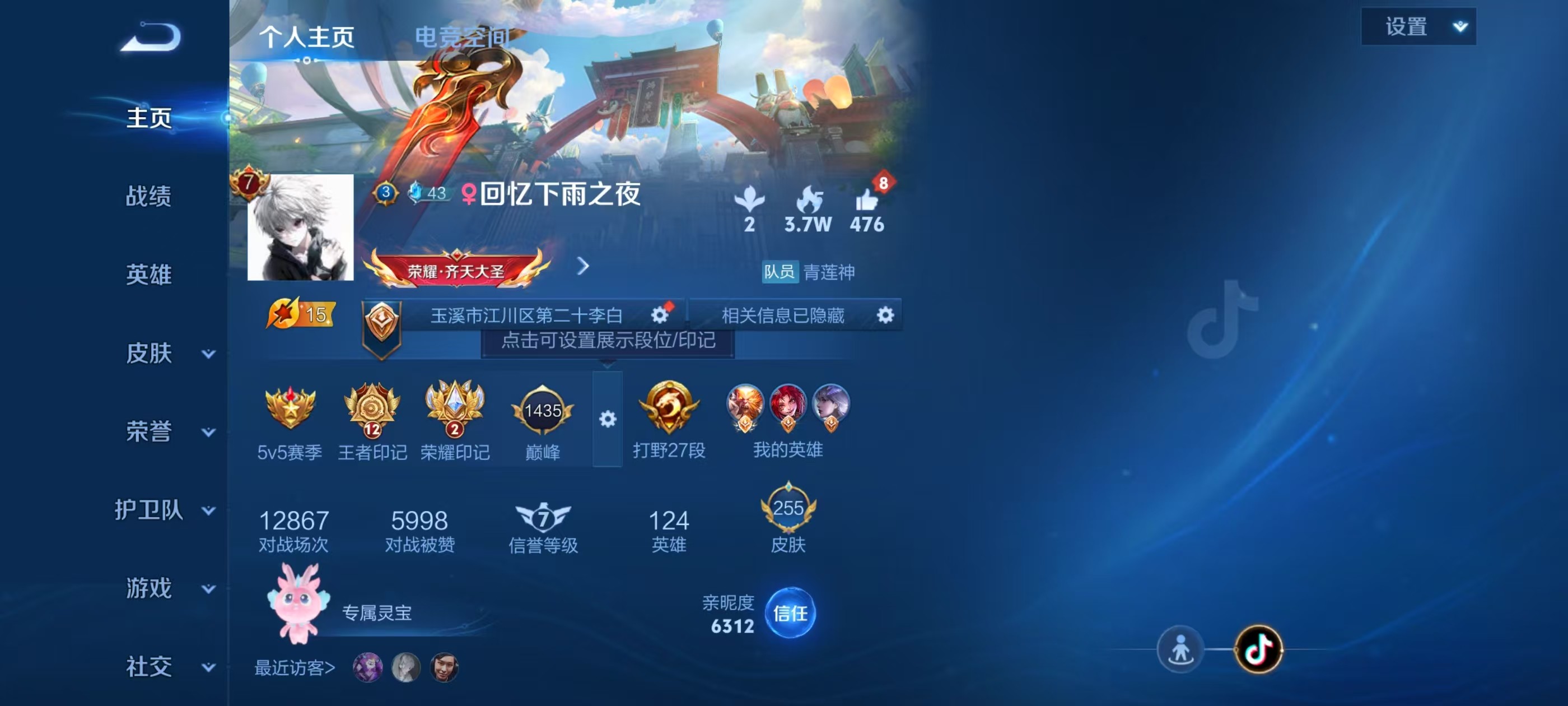 WZKG3134208王者荣耀账号详情图3 WZKG3134208王者荣耀账号详情图3
