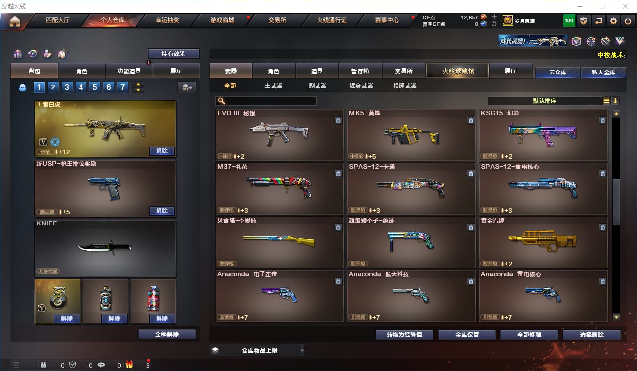 CFQM311328穿越火线账号详情图7