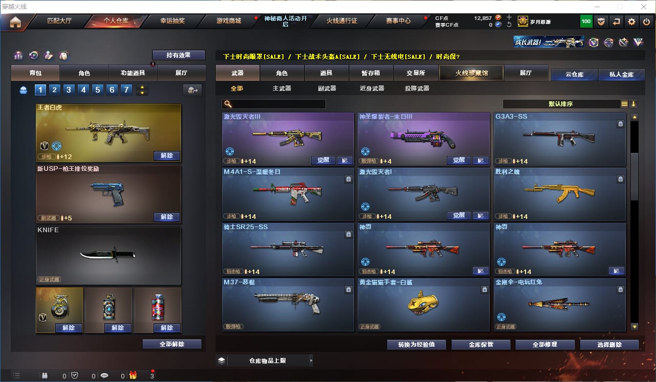CFQM311328穿越火线账号详情图5