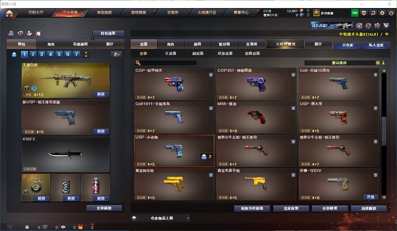 CFQM311328穿越火线账号详情图24