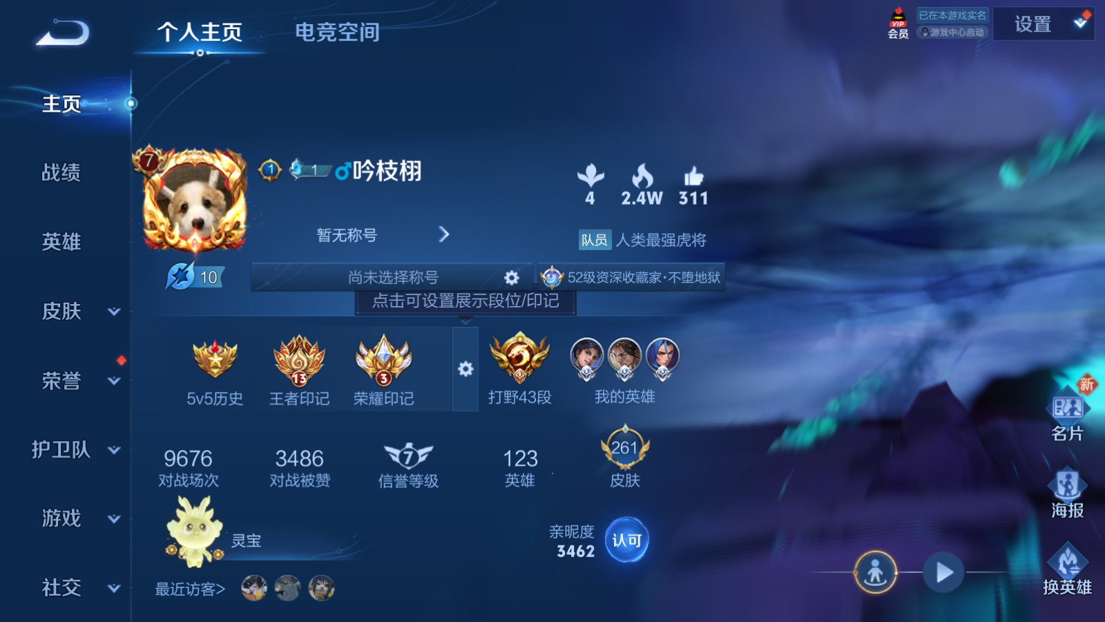WZQM3103464王者荣耀账号详情图3