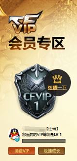 CFQM311718穿越火线账号详情图8 CFQM311718穿越火线账号详情图8