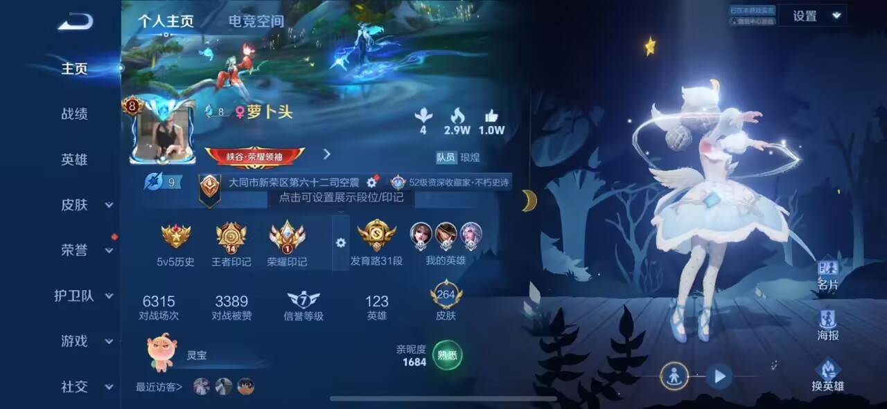WZKG3109652王者荣耀账号详情图3