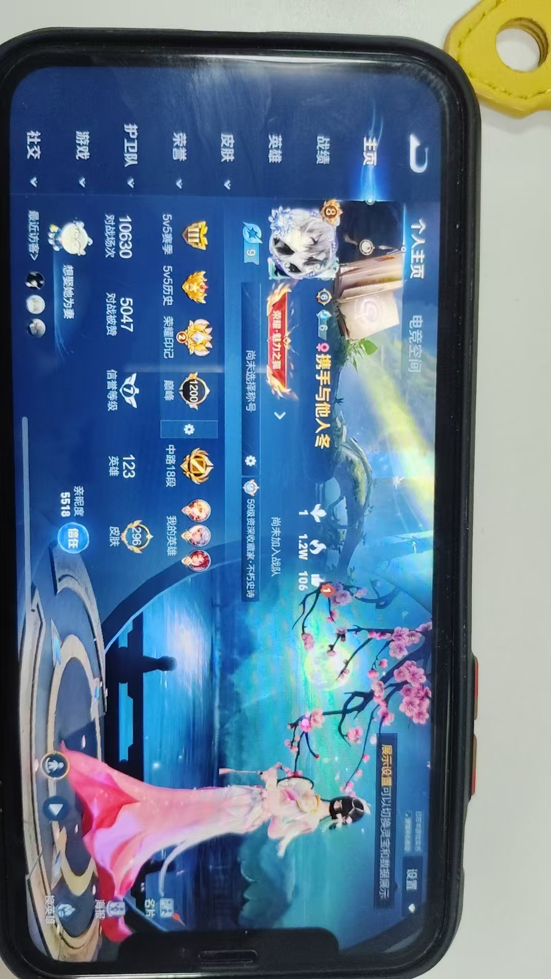 WZKG3135523王者荣耀账号详情图3 WZKG3135523王者荣耀账号详情图3