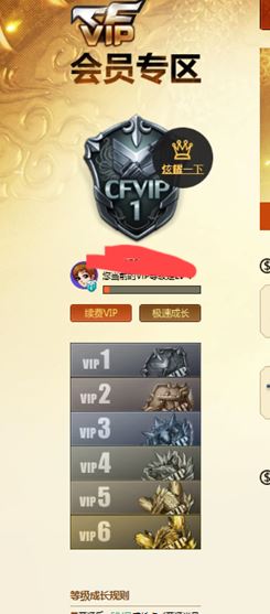 CFQM311787穿越火线账号详情图4 CFQM311787穿越火线账号详情图4