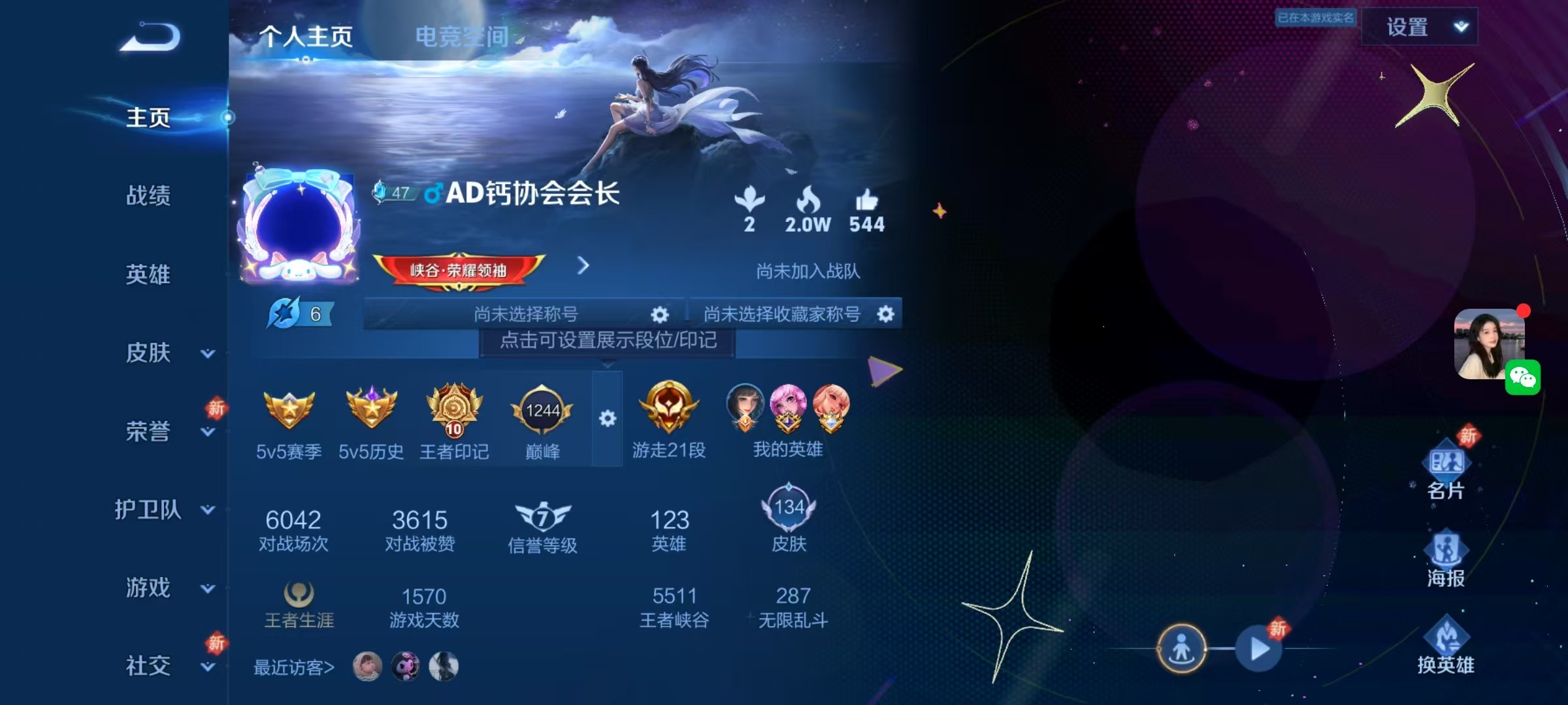 WZKG3111380王者荣耀账号详情图3