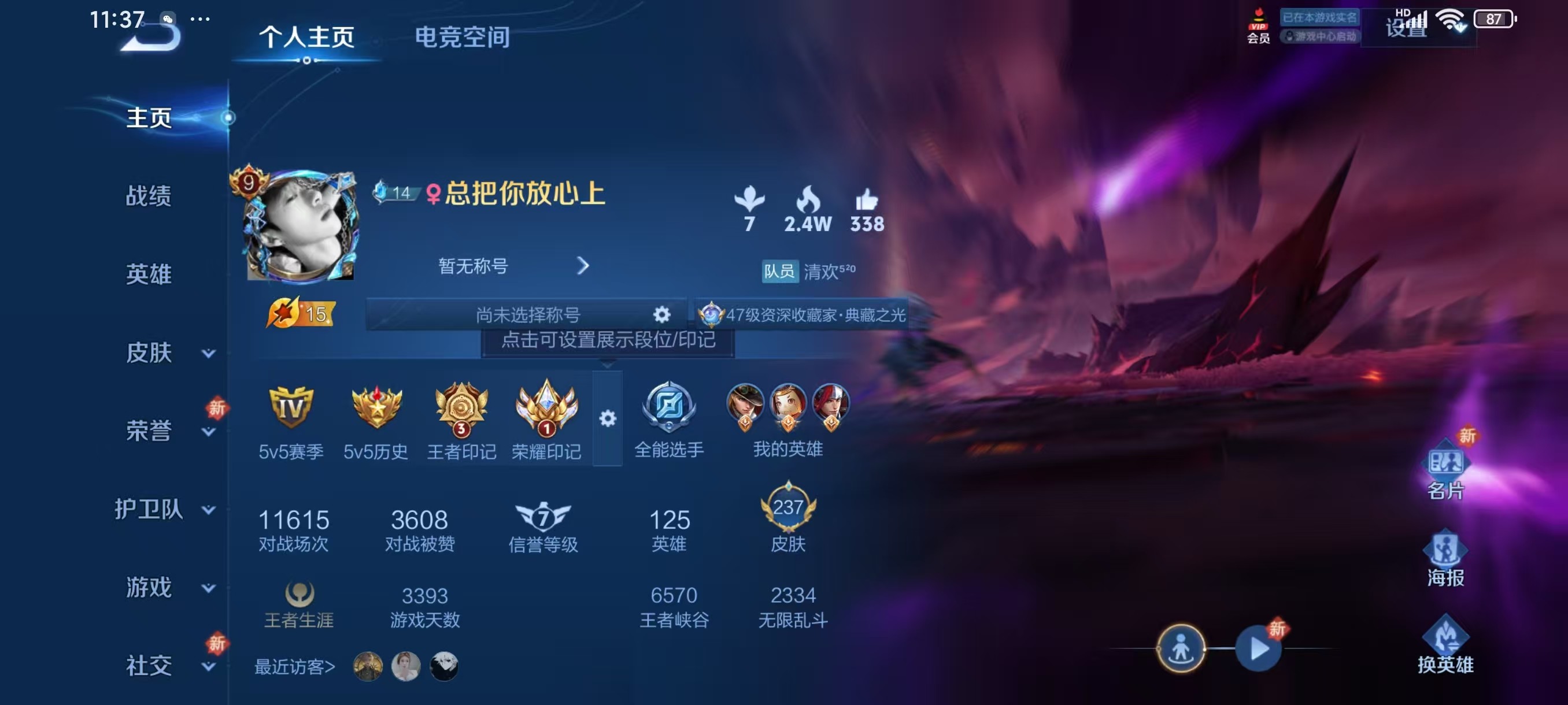 WZKG3127077王者荣耀账号详情图3 WZKG3127077王者荣耀账号详情图3